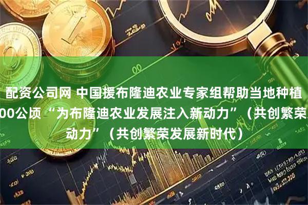 配资公司网 中国援布隆迪农业专家组帮助当地种植杂交水稻3800公顷 “为布隆迪农业发展注入新动力”（共创繁荣发展新时代）